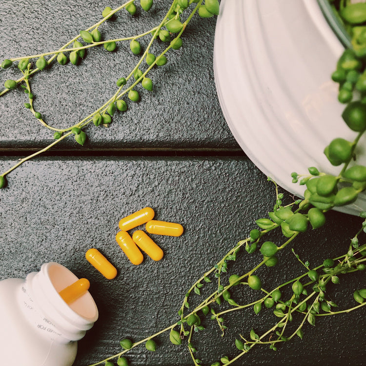 Blog of Everything You Need to Know About Folate for Pregnancy: Benefits, Differences, Deficiency, and Sources which have image Everything You Need to Know About Folate for Pregnancy: Benefits, Differences, Deficiency, and Sources