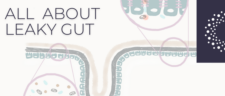 Blog of What Is Intestinal Permeability and Leaky Gut and How Can We Heal It? which have image What Is Intestinal Permeability and Leaky Gut and How Can We Heal It?