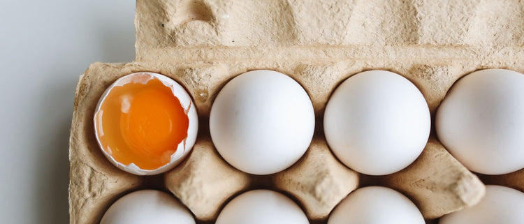 Blog of The Benefits of a High Protein Diet and Unpacking Good Quality Protein Sources which have image eggs in a carton