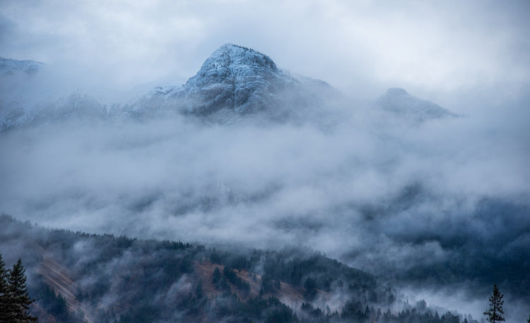 Blog of What is Brain Fog? How to Support Brain Health & Think Clearly Again which have image mountain shrouded in fog