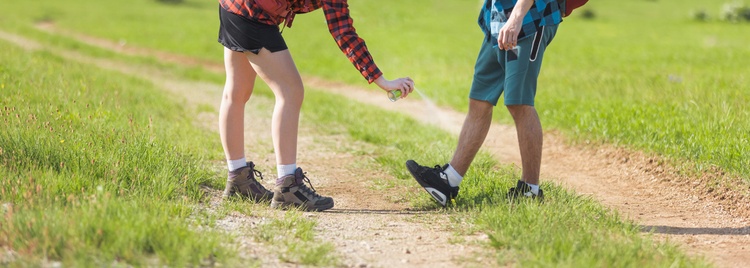 Blog of As Summer Winds Down: Lyme, Tick-Borne Illness, and Rebuilding Cellular Resilience which have image As Summer Winds Down: Lyme, Tick-Borne Illness, and Rebuilding Cellular Resilience