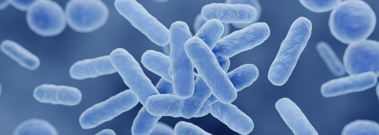 Blog of Digestive Enzymes vs. Probiotics: What’s the Difference & Which One Do You Need? which have image A close-up 3D-rendered illustration of rod-shaped bacteria floating in a blue environment.