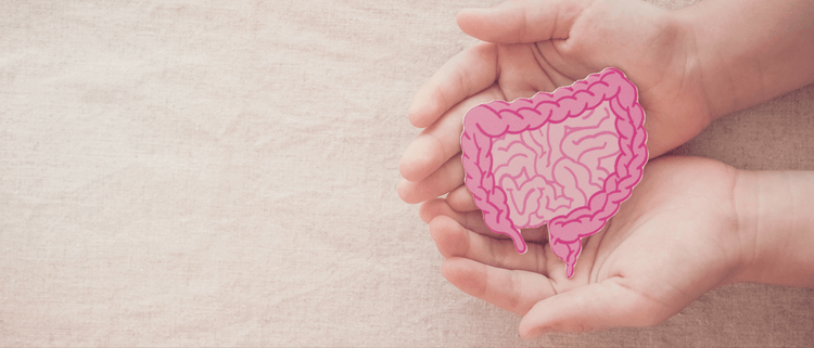 Blog of 7 Legit Hacks to Heal Your Gut and Feel Your Best which have image 7 Legit Hacks to Heal Your Gut and Feel Your Best