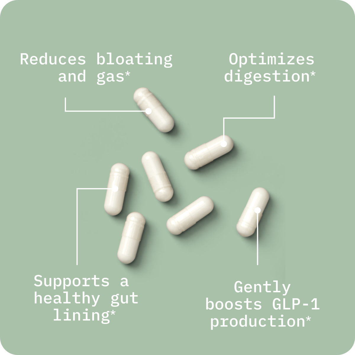 Butyrate: Gut Health Supplement