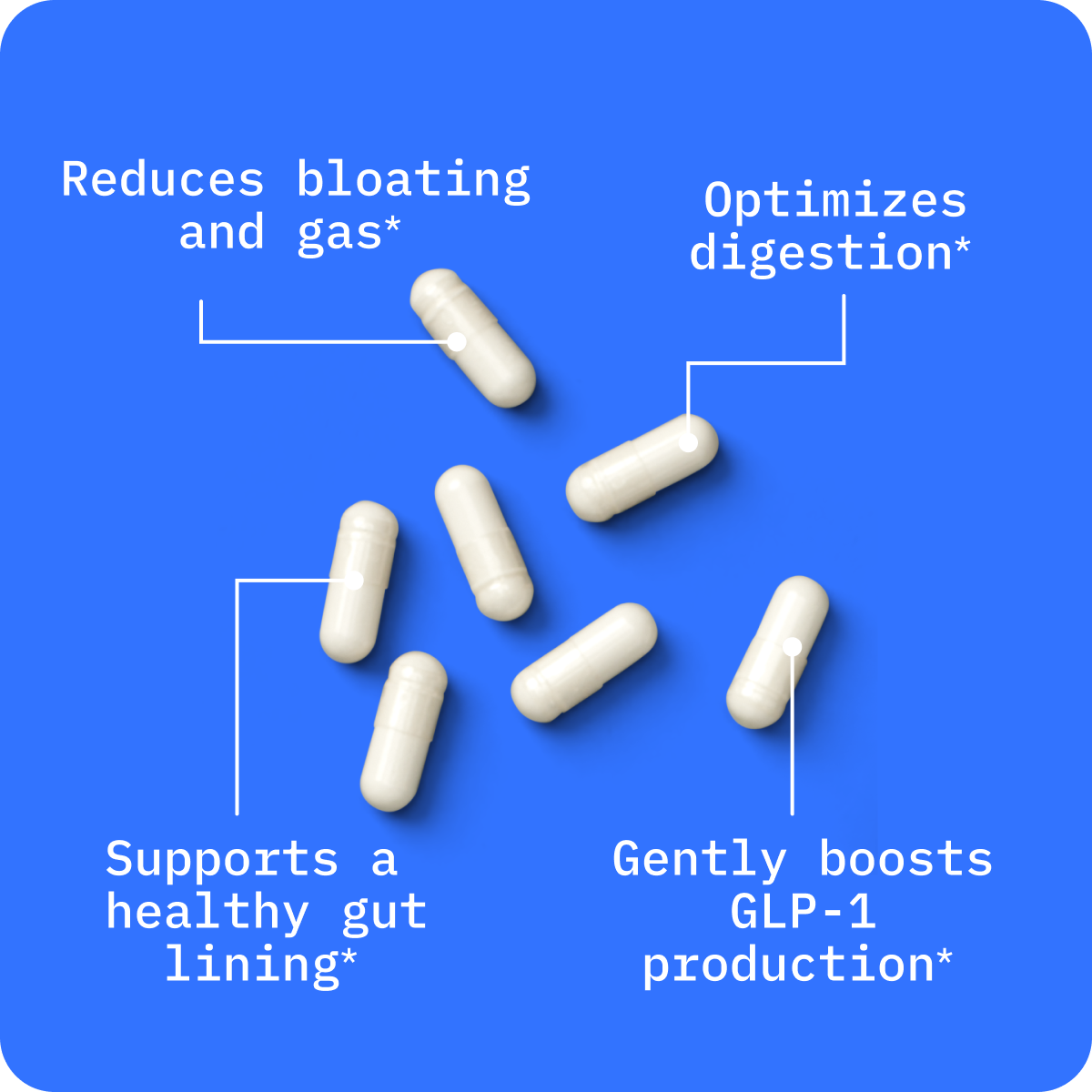 Butyrate: Gut Health Supplement image 2