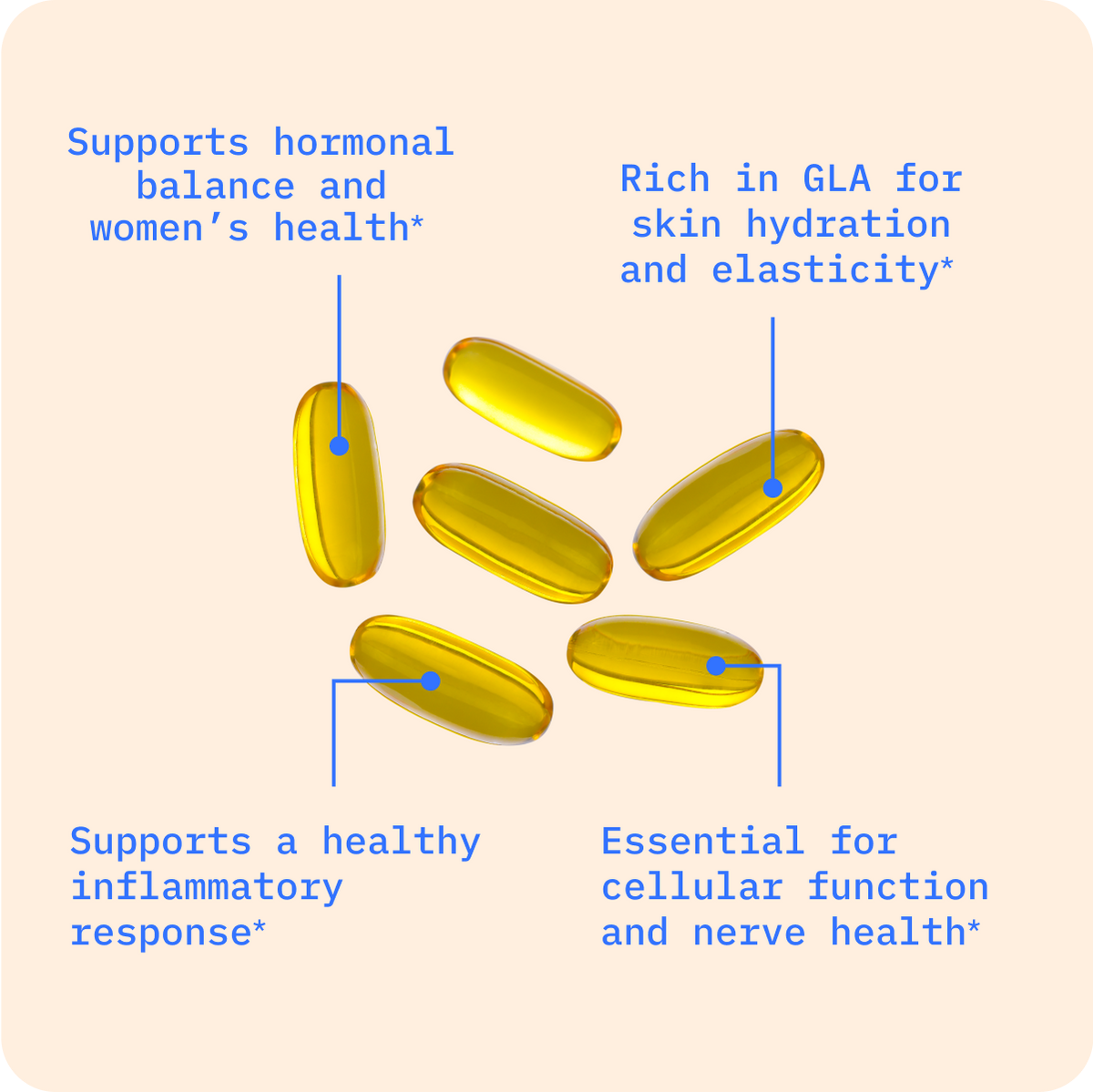 Evening Primrose Oil