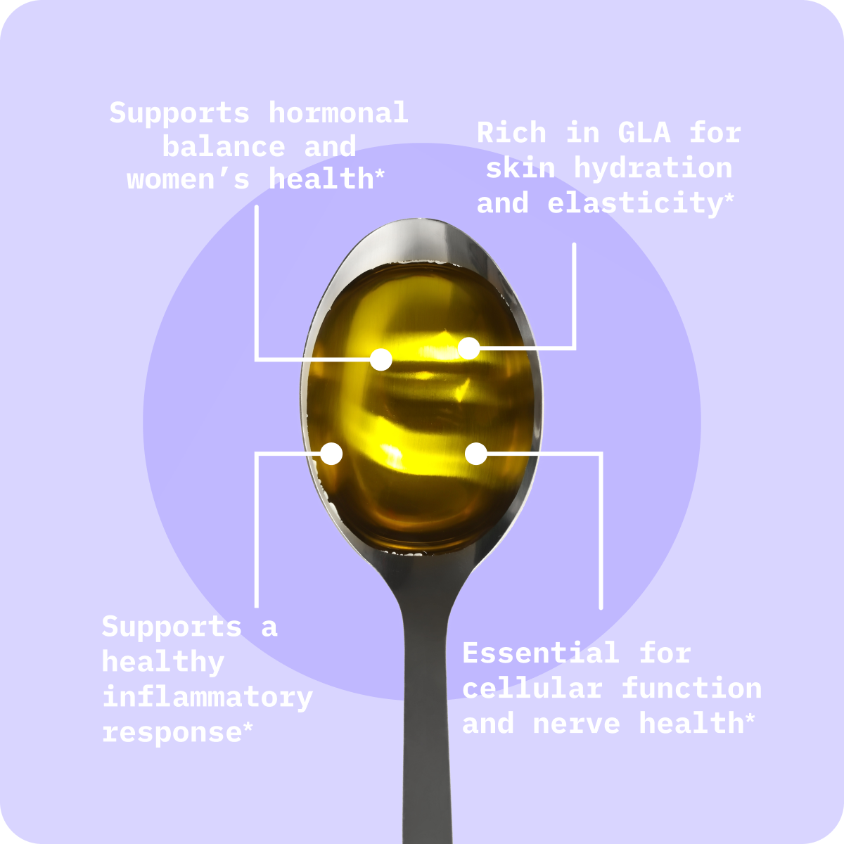 Evening Primrose Oil image 1