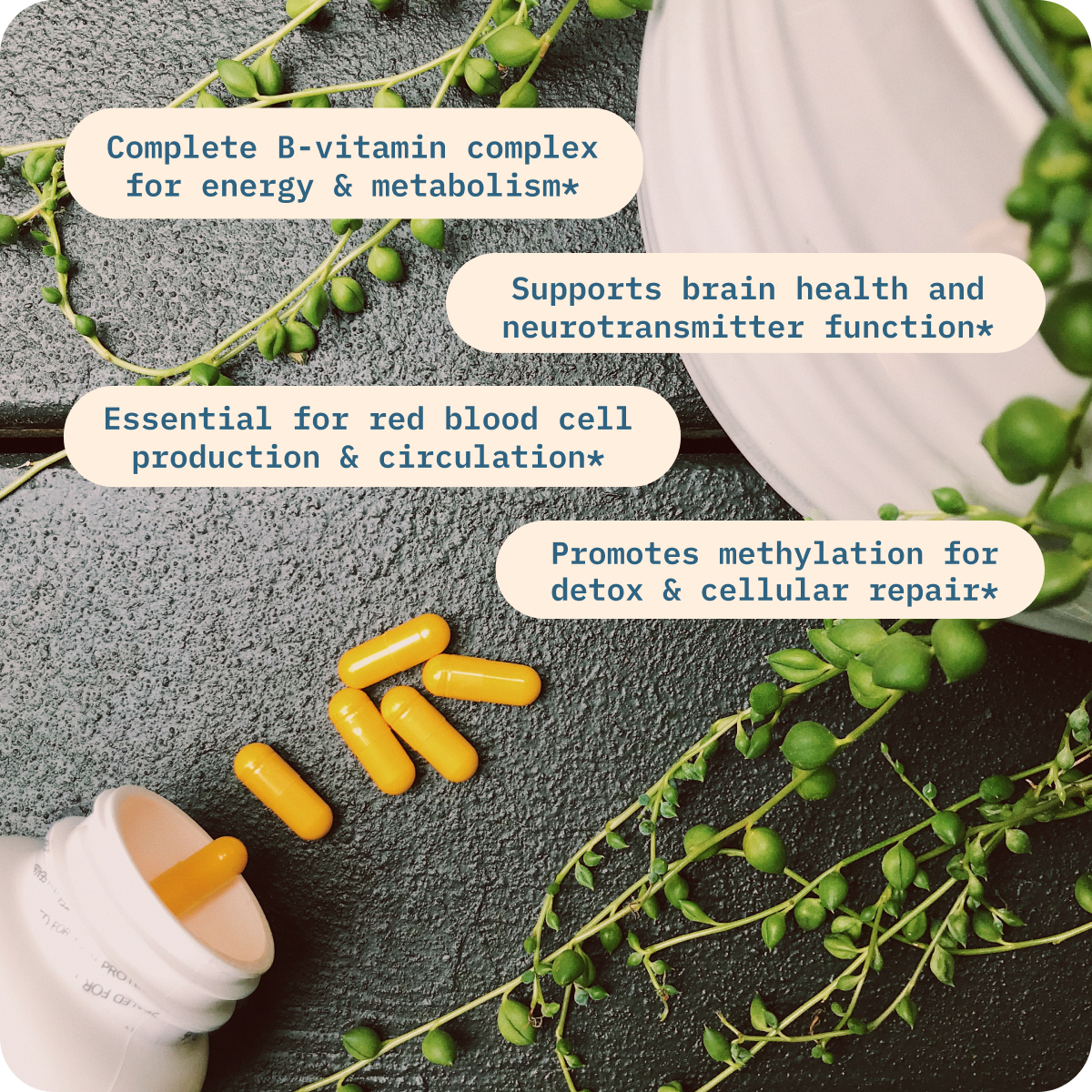 Vitamin B+ image 1