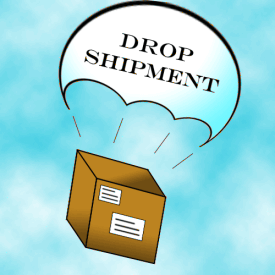 THIS IS A DROPSHIPPING ORDER. DO NOT INCLUDE INVOICE